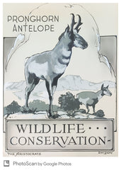 US The Aristocrat Artwork 1956 #1078 Wildlife Conservation - Pronghorn Antelope