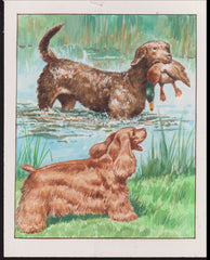 US Cachet /Stamp Artwork - Colorano #2099