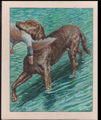 US Cachet /Stamp Artwork - Colorano #2099