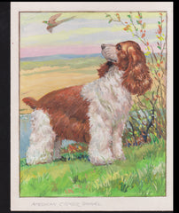 US Cachet /Stamp Artwork - Colorano #2099