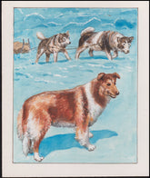 US Cachet /Stamp Artwork - Colorano #2100