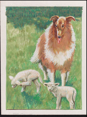 US Cachet /Stamp Artwork - Colorano #2100