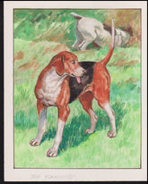 US Cachet /Stamp Artwork - Colorano #2101