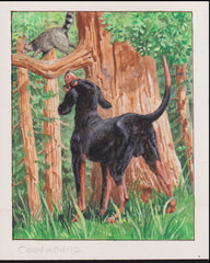 US Cachet /Stamp Artwork - Colorano #2101