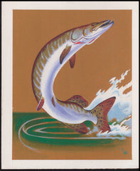 US Cachet /Stamp Artwork - Colorano #2205