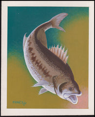 US Cachet /Stamp Artwork - Colorano #2207