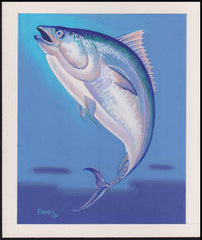 US Cachet /Stamp Artwork - Colorano #2208