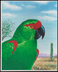 US Cachet /Stamp Artwork - Colorano #3105b