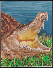 US Cachet /Stamp Artwork - Colorano #3105d