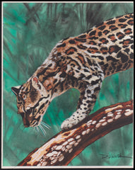 US Cachet /Stamp Artwork - Colorano #3105e