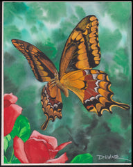 US Cachet /Stamp Artwork - Colorano #3105f