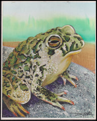 US Cachet /Stamp Artwork - Colorano #3105g