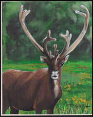 US Cachet /Stamp Artwork - Colorano #3105L