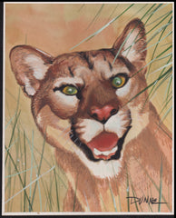 US Cachet /Stamp Artwork - Colorano #3105M