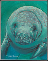 US Cachet /Stamp Artwork - Colorano #3105O