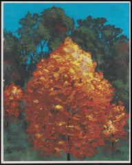 US Cachet /Stamp Artwork - Colorano #3195