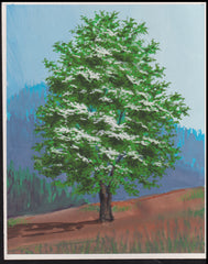 US Cachet /Stamp Artwork - Colorano #3197