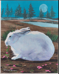 US Cachet /Stamp Artwork - Colorano #3288