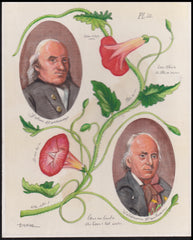 US Cachet /Stamp Artwork - Colorano #3314