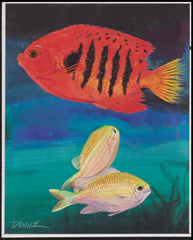 US Cachet /Stamp Artwork - Colorano #3317