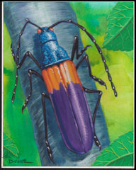 US Cachet /Stamp Artwork - Colorano Cover Art #3351b