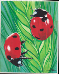 US Cachet /Stamp Artwork - Colorano Cover Art #3351c