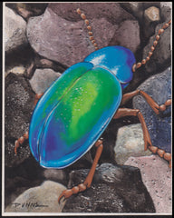 US Cachet /Stamp Artwork - Colorano Cover Art #3351e