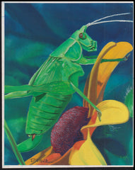 US Cachet /Stamp Artwork - Colorano Cover Art #3351f