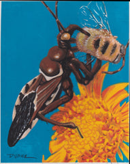 US Cachet /Stamp Artwork - Colorano Cover Art #3351g