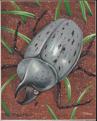 US Cachet /Stamp Artwork - Colorano Cover Art #3351l