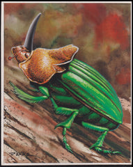 US Cachet /Stamp Artwork - Colorano Cover Art #3351n