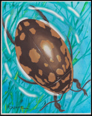 US Cachet /Stamp Artwork - Colorano Cover Art #3351o