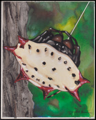 US Cachet /Stamp Artwork - Colorano Cover Art #3351q