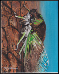 US Cachet /Stamp Artwork - Colorano Cover Art #3351r