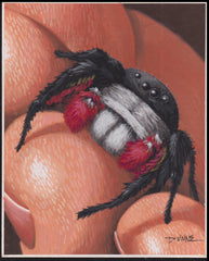 US Cachet /Stamp Artwork - Colorano Cover Art #3351t