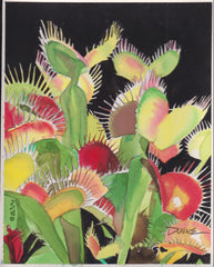 US Cachet /Stamp Artwork - Colorano Cover Art #3528