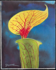 US Cachet /Stamp Artwork - Colorano Cover Art #3529