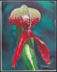 US Cachet /Stamp Artwork - Colorano Cover Art #3530