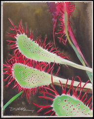 US Cachet /Stamp Artwork - Colorano Cover Art #3531