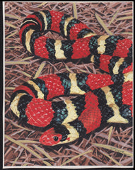 US Cachet /Stamp Artwork - Colorano Cover Art #3814