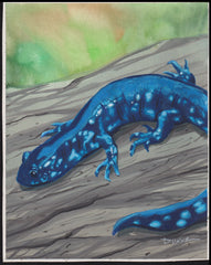 US Cachet /Stamp Artwork - Colorano Cover Art #3815