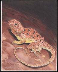 US Cachet /Stamp Artwork - Colorano Cover Art #3816