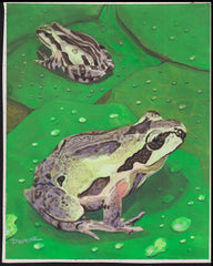 US Cachet /Stamp Artwork - Colorano Cover Art #3817