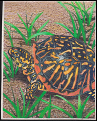 US Cachet /Stamp Artwork - Colorano Cover Art #3816