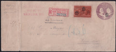 US Early Commemoratives #239,U349