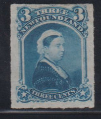 Newfoundland #39 Mint\Hinged F - VF