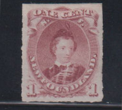Newfoundland #37 Mint\Hinged XF