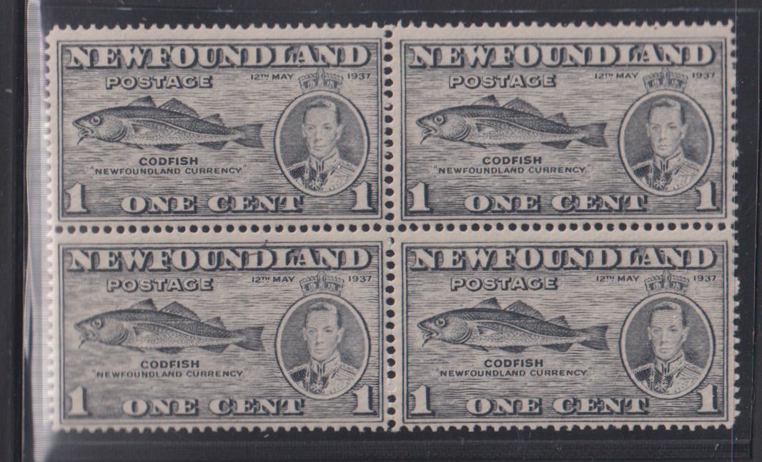 Newfoundland #257b NH