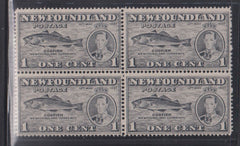 Newfoundland #257b NH