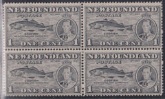Newfoundland #257b NH